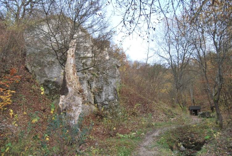 púchovská skala